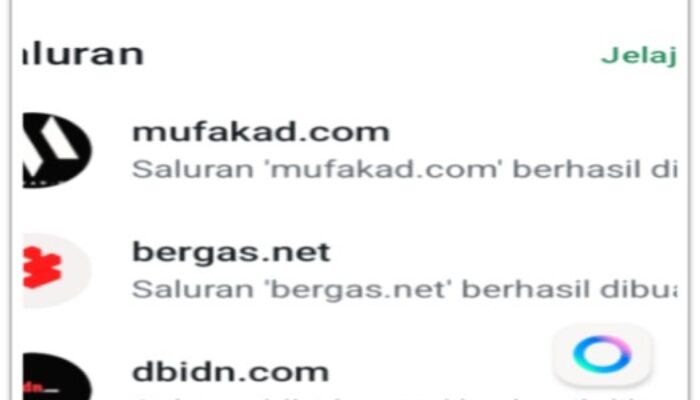 Jangan Takut  Dengan Fitur Baru WhatsApp Yang Dilengkapi Denga Meta AI, Ini Manfaat dan Kegunaanya!